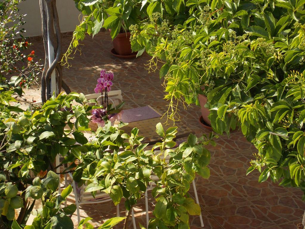 Apartmani Niki Hvar Hvar Town Luaran gambar